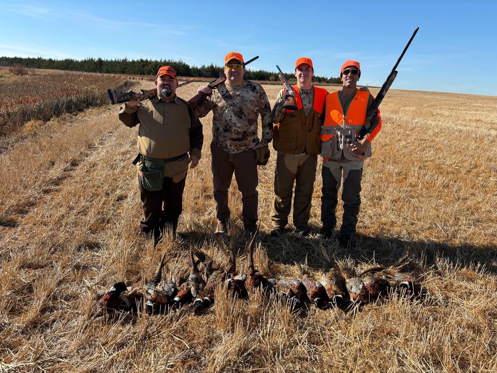 Hunters working a South Dakota pheasant field at Prime