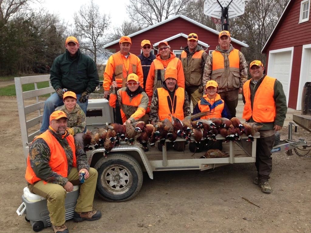 Hunters and dogs working a pheasant field near Pukwana, SD