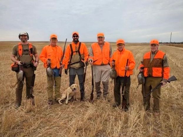 Bird dog on point in pheasant cover at the Graves Ranch