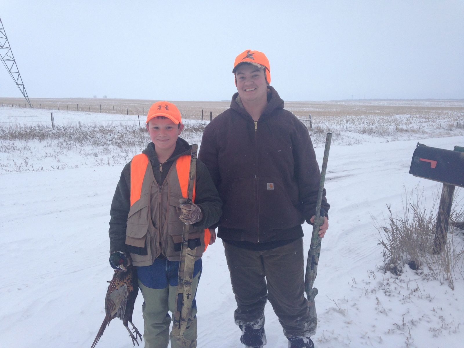 Limit of South Dakota roosters from a hunt at Prime Pheasant Hunting