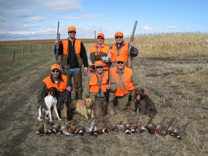 Successful South Dakota pheasant hunting party with birds