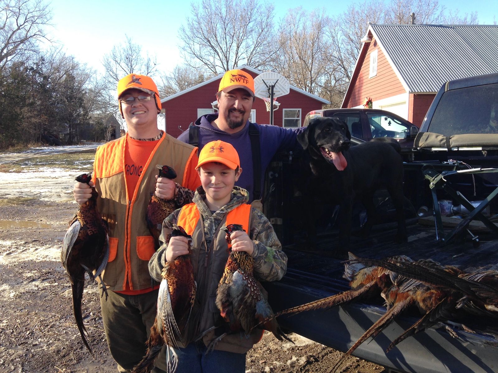 Pheasant hunters and bird dogs in the field at Prime